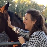 Paardencoach met paard